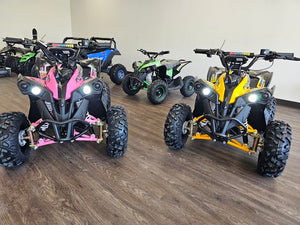 1200W 48V Renegade X ATV Pink